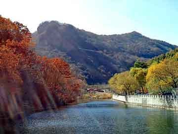 淡紫拟青霉菌，傲虎油耗